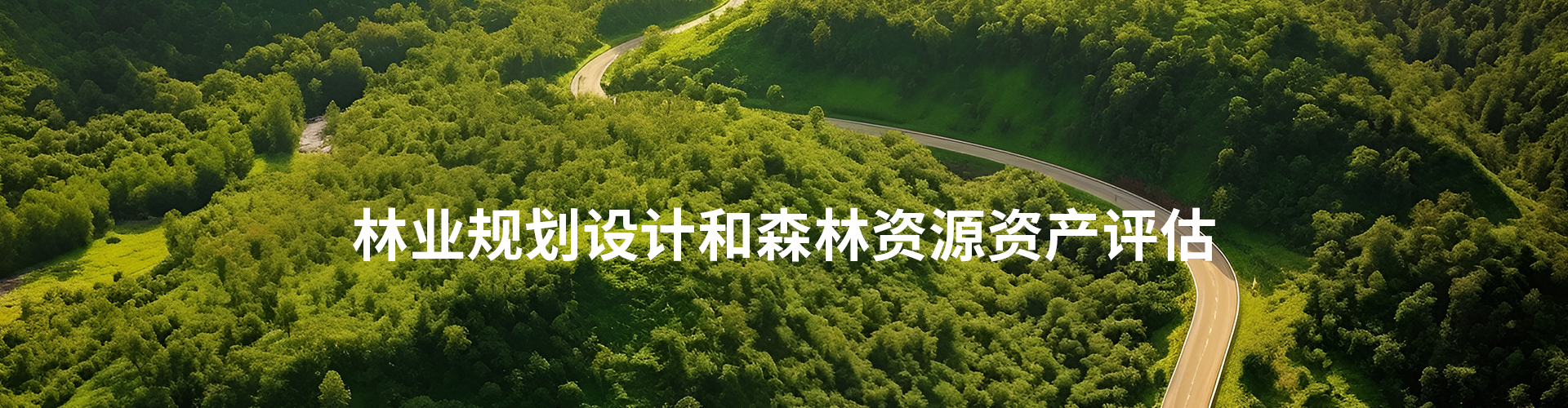 進行林業資產評估的目的作用